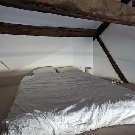 Cozy Center *